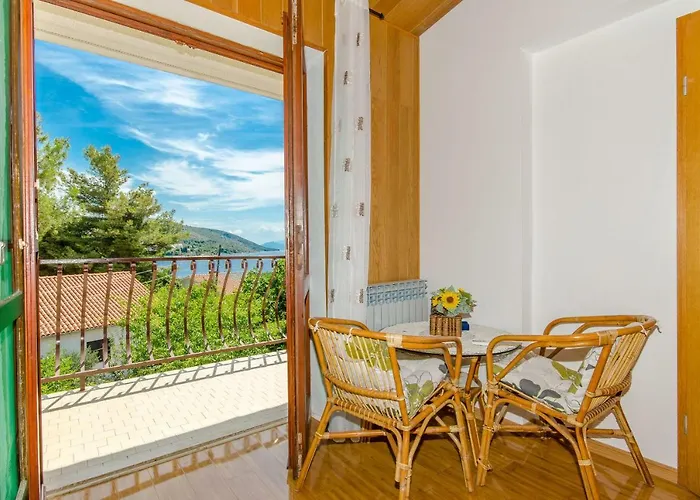 House Blanka * 特罗吉尔