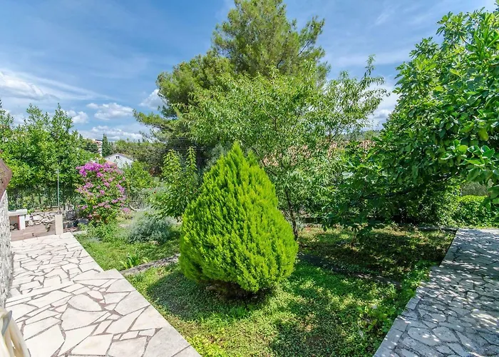 House Blanka 特罗吉尔